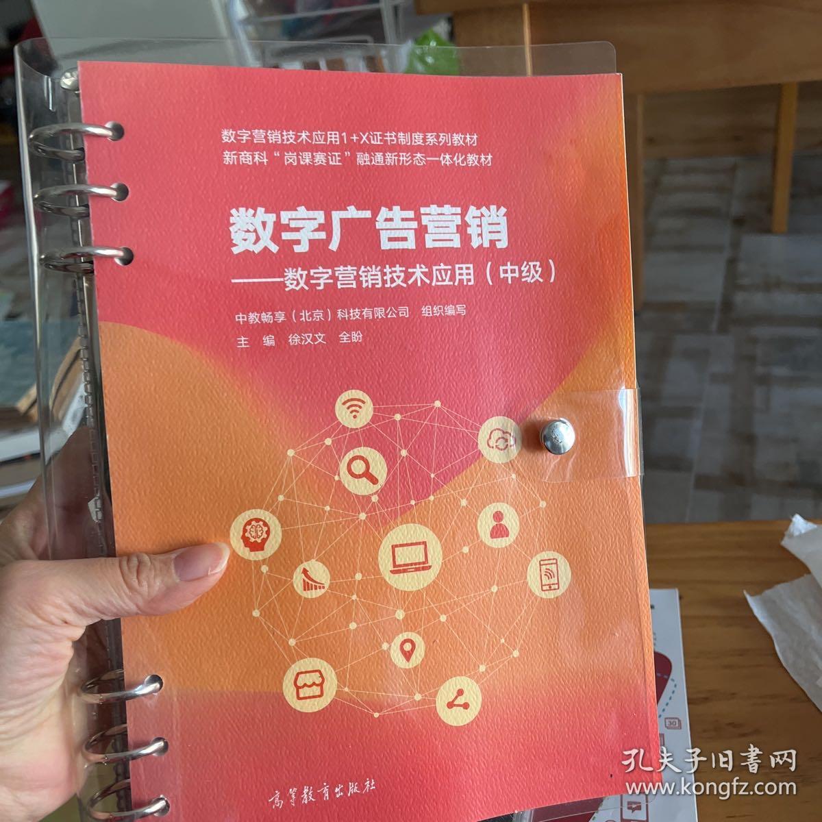 數(shù)字廣告制作 數(shù)字營(yíng)銷技術(shù)應(yīng)用（中級(jí)）核心指南